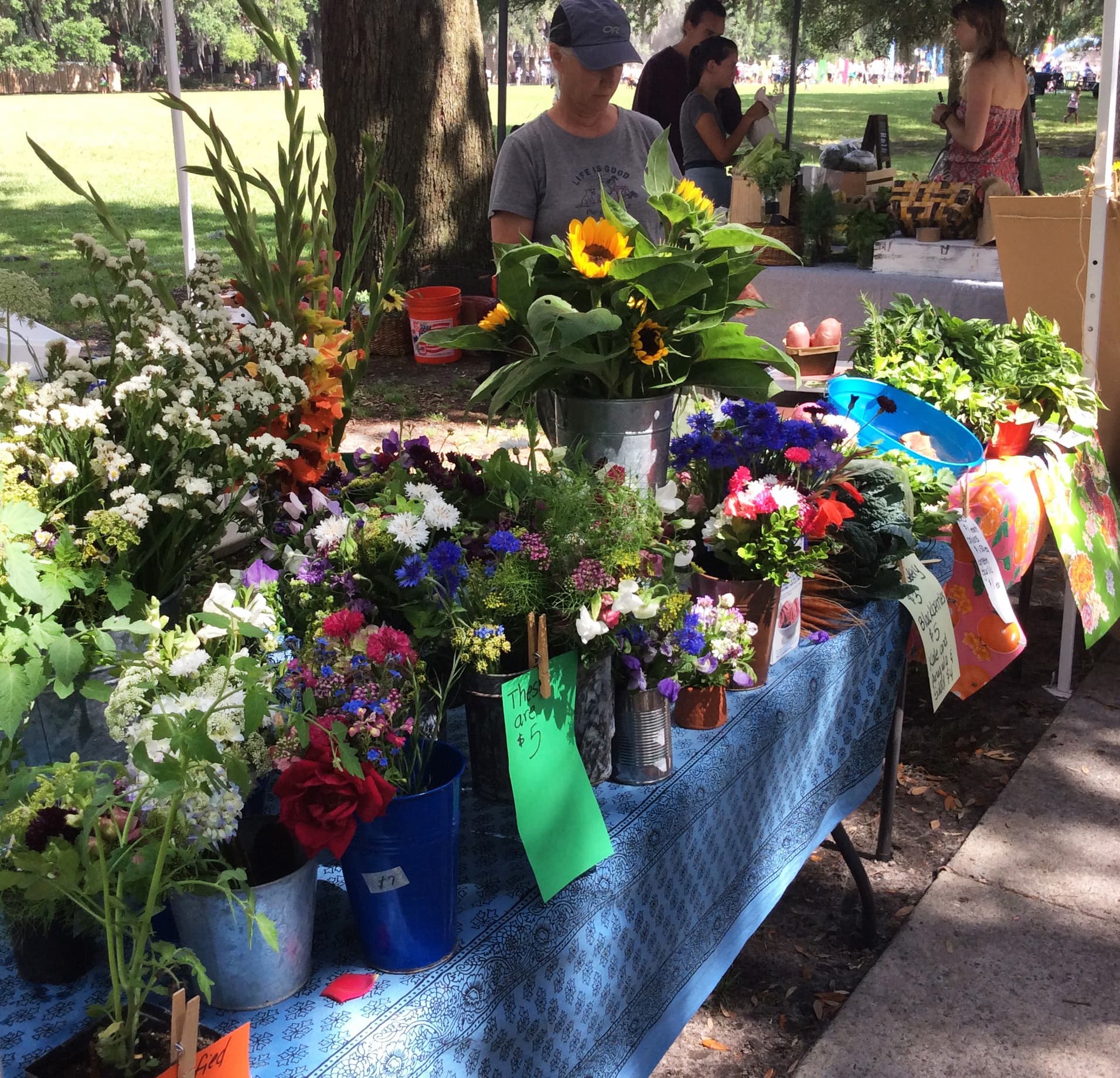 Cut flowers selected for the professional wholesale market