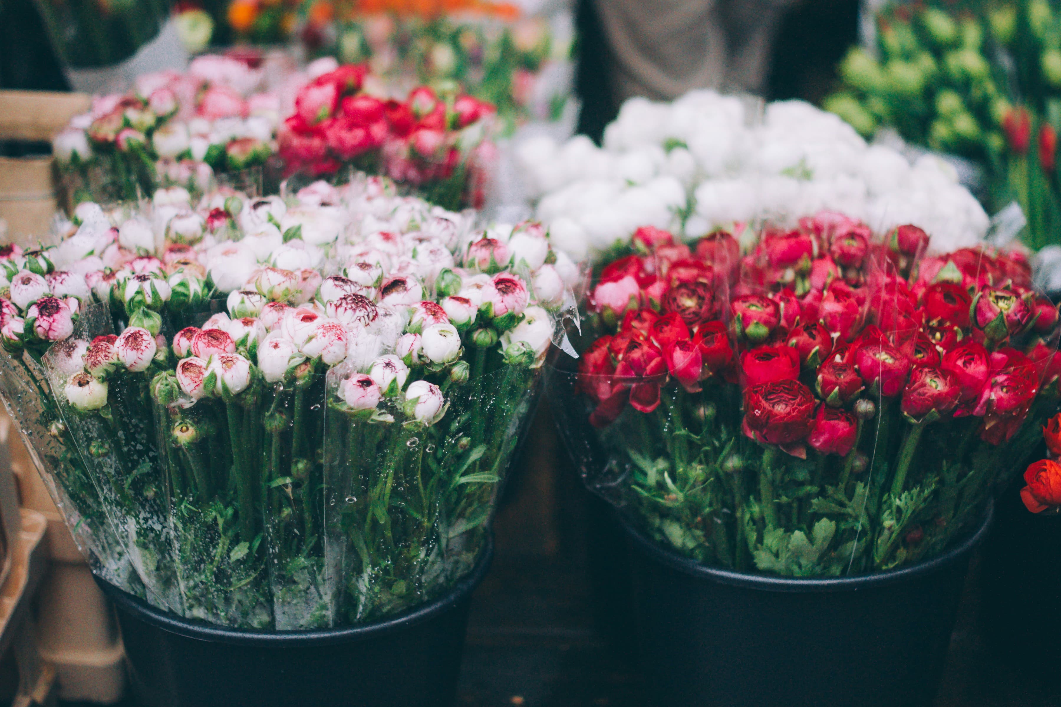 Fresh flowers in professional containers