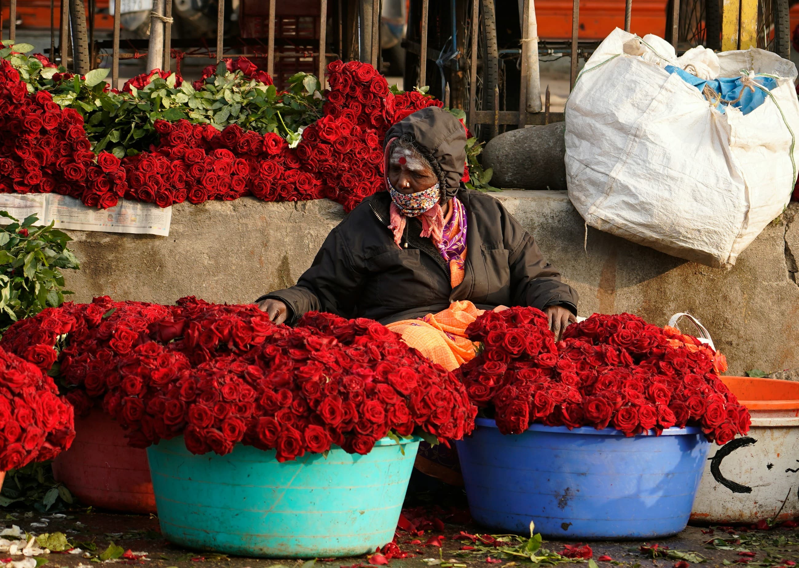 Red roses and cut flowers ready for selection